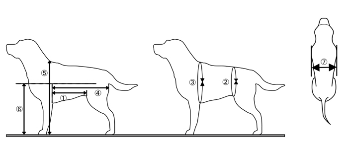 犬用車椅子 Wilmog ウィルモグ 採寸方法